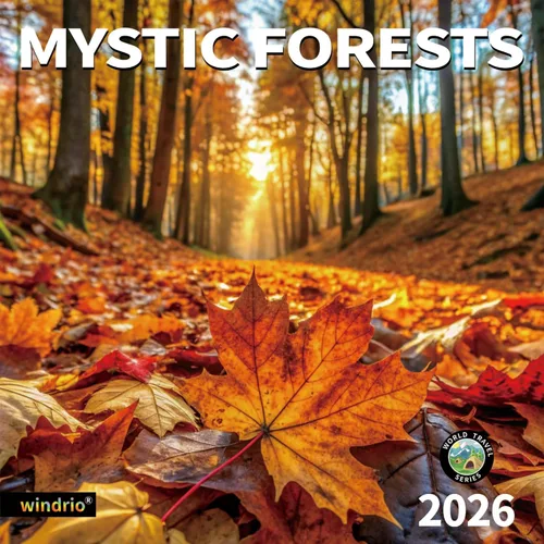 Miniatura 15 de Calendario de pared 2026, calendario 2026, noviembre de 2025 a diciembre de 2026, calendario de pared arcoíris, 12 x 24 pulgadas abierto, página