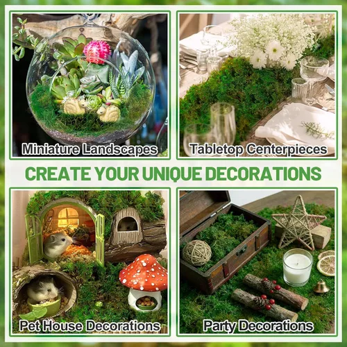 Miniatura 5 de Musgo verde natural de 10 onzas para plantas de interior, musgo real de bosque seco para manualidades, jardines de hadas artificiales, mosswall