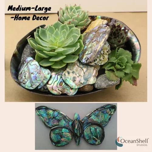 Miniatura 5 de Piezas de concha de abulón (Pāua), paquete de 2.65 onzas para manualidades, fabricación de joyas, arte de resina, incrustaciones, decoraciones
