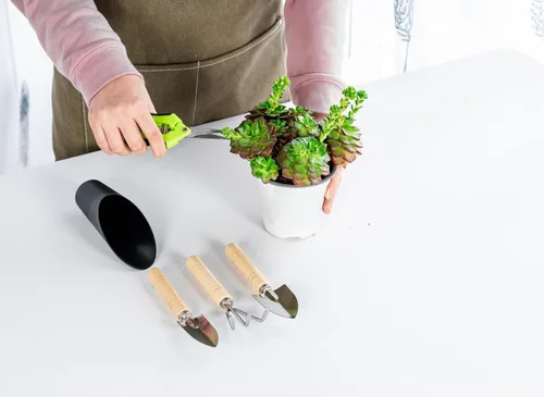 Miniatura 5 de Josteve juego de 5 herramientas para suculentas, mini herramientas de jardín pequeñas para interior, tijeras de podar y jardinería, juego de mano