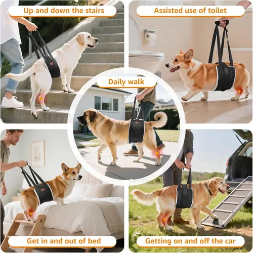 Miniatura 9 de LOOBANI Arnés de elevación para perros para patas traseras, arnés portátil para perros grandes, soporte para patas traseras, cómodo soporte