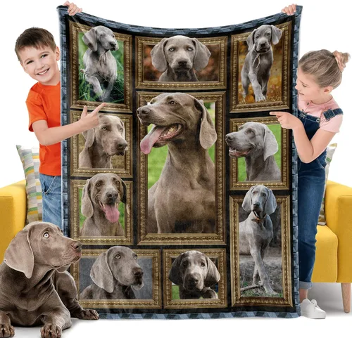 Miniatura 22 de Border Collie - Manta para niños, regalos para los amantes de los perros, 40 x 50 pulgadas, mantas para niños pequeños y bebés para sofá, cama