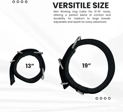 Miniatura 5 de SparkDog - Collar de perro resistente de 1.5 pulgadas, correa ajustable de grado de cinturón de seguridad con herrajes de acero inoxidable