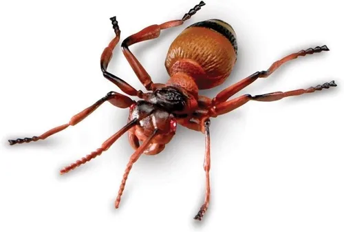 Miniatura 6 de Learning Resources Insectos jumbo, juguetes de animales para niños, ciencia preescolar infantil, habilidades motoras finas, regalos para niños