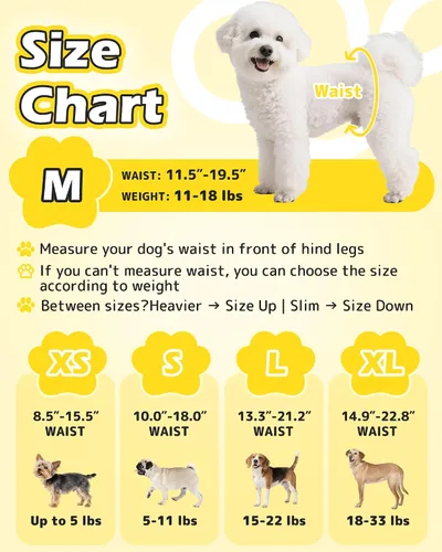 Miniatura 2 de Dono Pañales para perros hembra con cintura elástica - 24 unidades, pañales desechables de envoltura completa para cachorros en período de calor