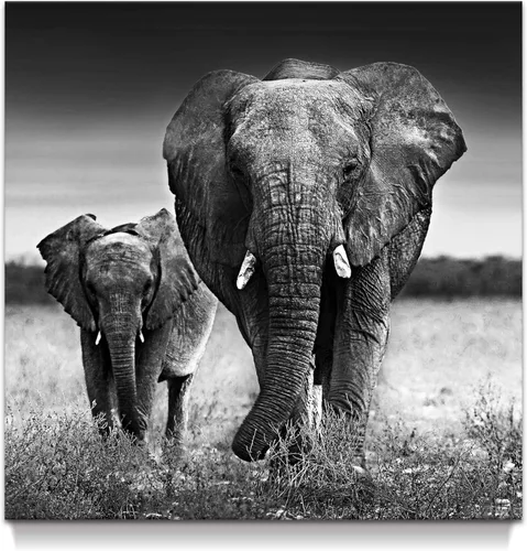 Miniatura 11 de Arte de pared blanco y negro de elefante – Pintura rústica en lienzo – Imagen de animales africanos – Obra de arte natural para decoración de baño