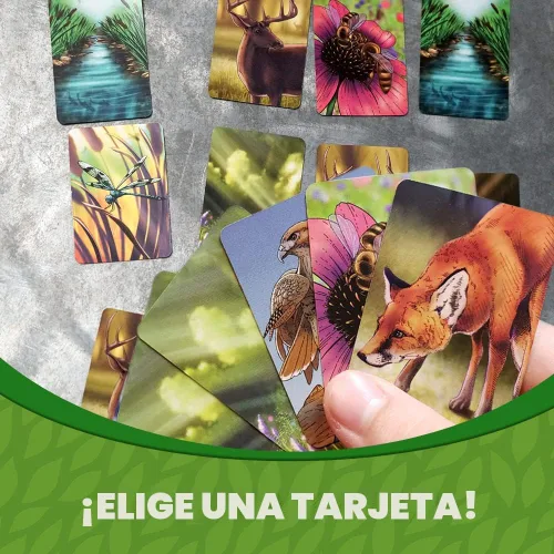 Miniatura 5 de Ecosistema - Un juego de cartas familiar sobre la construcción de hábitats ¡Aprende sobre animales, ecología y biodiversidad para niños, adultos