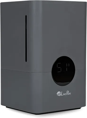 LivePure Humidificador digital ultrasónico de llenado superior de niebla fría de 1.2 L (.3 galones) con pantalla LED, grafito