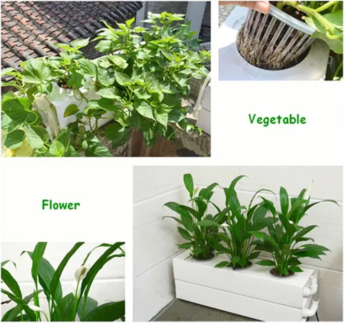 Miniatura 5 de Kit de cultivo hidropónico de 6 plantas para plantar verduras, hierbas, bayas, cesta de plantas de 3.7 pulgadas (D)*3 (H) pulgadas sin bomba de agua