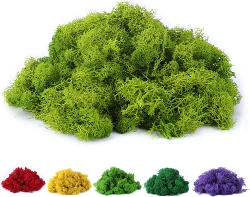 Musgo de reno preservado de musgo falso de 3.5 onzas para plantas en maceta, artes y manualidades, terrarios, decoración de pared, centros de mesa,