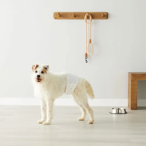 Miniatura 7 de Amazon Basics Pañales para perros machos, 50 unidades, medianos, ultra absorbentes, desechables, con ajuste seguro, a prueba de fugas y cómodos