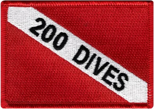 Miniatura 3 de Divemaster - Parche bordado para buceo, emblema de buceo, recuerdo