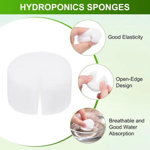 Miniatura 2 de M METERXITY Paquete de 50 esponjas hidropónicas, esponjas cilíndricas de medio de cultivo de 1.97 pulgadas para plantar herramientas de Blanco