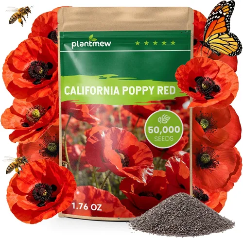 Miniatura 7 de Semillas de amapola naranja de California para plantar, paquete a granel de 0.35 onzas, más de 10,000 semillas nativas, flor del estado de California