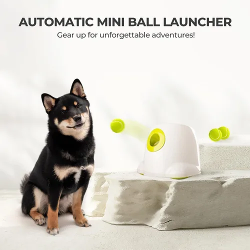 Miniatura 7 de ALL FOR PAWS Lanzador automático de bolas para perros, máquina interactiva para mascotas, lanzador de bolas para interiores, 3 bolas incluidas