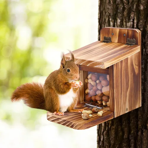 Miniatura 7 de MIXXIDEA Caja de Comedero de Madera para Ardillas, Robusto Comedero para Alimentar Ardillas con Grosor de 1.5CM de Madera, Sin Necesidad de Montaje