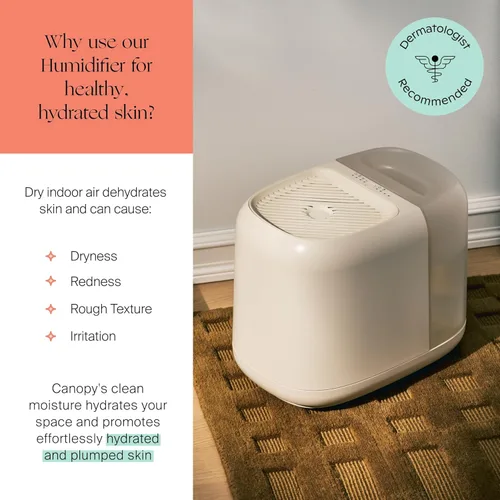 Miniatura 3 de Canopy Humidificador para Habitación Grande, Crema, Espacio de Vida Grande, Tiempo de Funcionamiento de 36 Horas, Tanque de 5.5L - Incluye