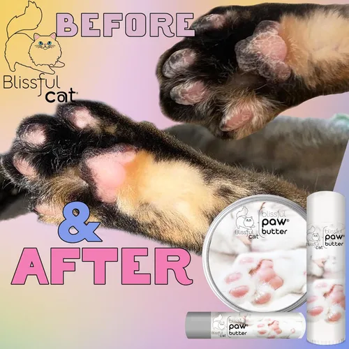 Miniatura 7 de La Mantequilla para Patas de Gato Blissful, Hidratante para Almohadillas de Patas Secas, Suaviza y Protege Pies Ásperos, Bálsamo Versátil y Seguro