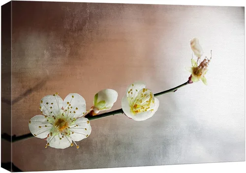 Wall26 - Lienzo decorativo con diseño de flor de durazno sobre piedras zen, color durazno