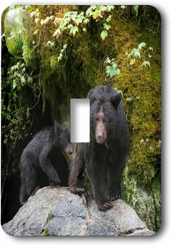 3dRose Black bear cub following its mama at Anan Creek. single toggle switch