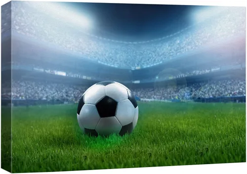 Miniatura 49 de .Wall26, lienzo de pared con pintura de pelota de tenis sobre piso de cancha. Balón de fútbol