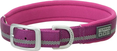 Terrain D.O.G. Collar de perro con forro de neopreno reflectante Púrpura