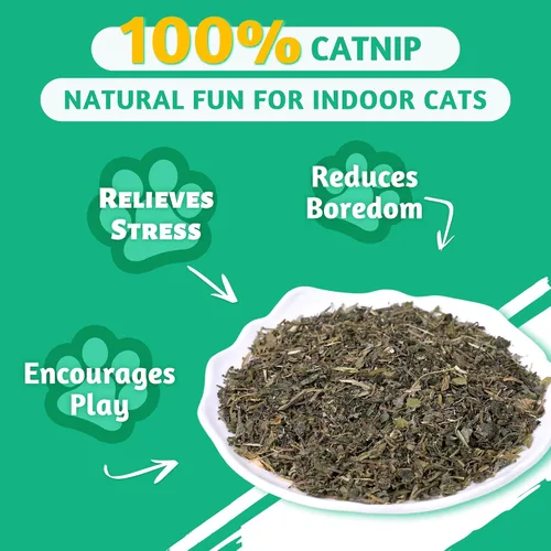 Miniatura 3 de Wellix Hierba gatera fresca para gatos, hojas secas naturales, flores y tallos, aroma fresco, utilizado como golosinas o juguetes recargables