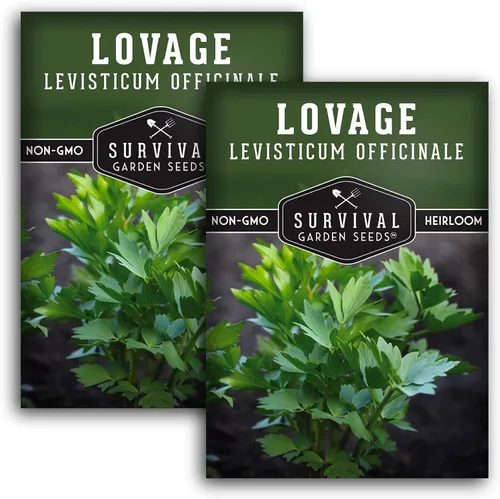 Survival Garden Seeds - Semilla de apio para plantar - 2 paquetes con instrucciones para plantar y cultivar hierba culinaria perenne Levisticum