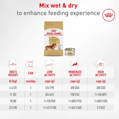 Miniatura 11 de Alimento seco para perros Royal Canin Breed Health Nutrition para Dachshund adulto, bolsa de 10 lb