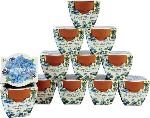 Miniatura 12 de BUZZY Seeds Daydream - Mini macetas de terracota con paquetes de semillas de margarita, juego de iniciación todo en uno con instrucciones medianas