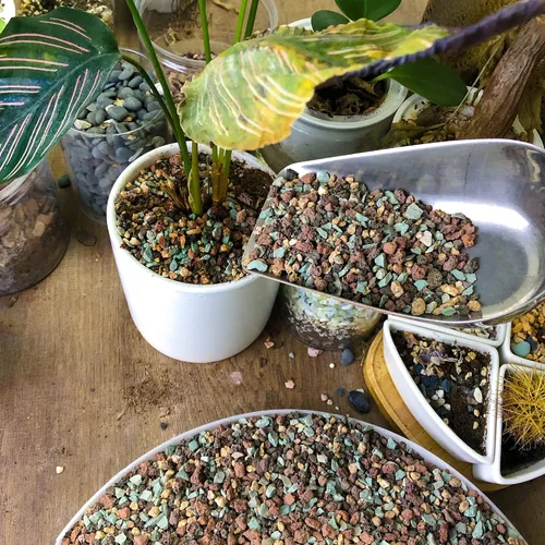 Miniatura 7 de 2.4 libras Mezcla de guijarros de roca volcánica hortícola para bonsái, piedra pómez para plantas suculentas y cactus, grava decorativa arenosa
