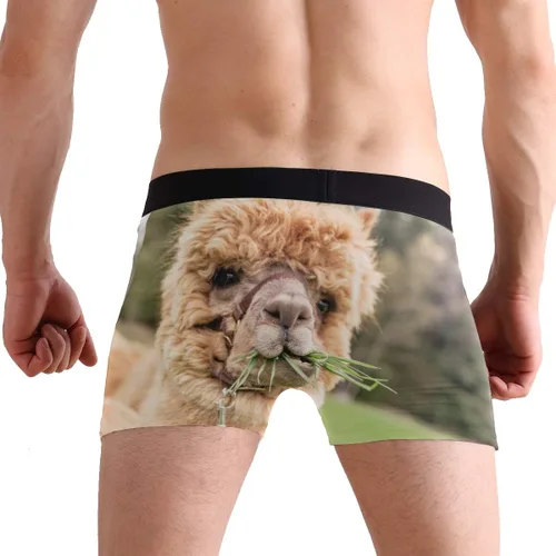 Miniatura 6 de ZZKKO Skull Llama - Calzoncillos tipo bóxer para hombre, transpirables, elásticos, con bolsa, tallas S-XXL
