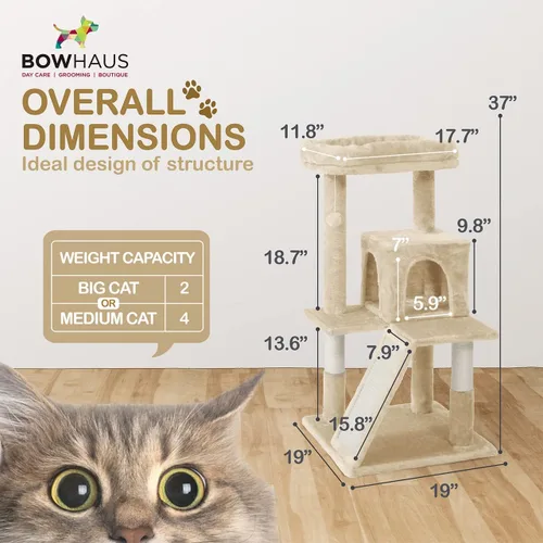 Miniatura 2 de BOWHAUS Árbol alto para gatos grandes o gatitos de interior, árbol de actividades para gatos de varios niveles con postes rascadores, hamaca