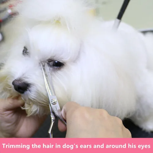Miniatura 4 de HASHIMOTO Tijeras de aseo para perros pequeños con puntas redondeadas, 5.0 pulgadas, hoja recta con microdentada, diseñadas para recortar alrededor