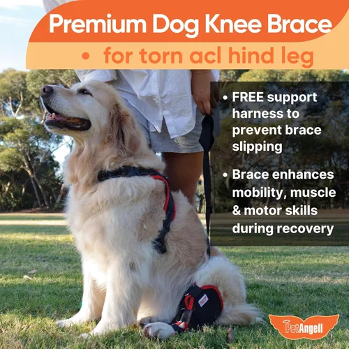 Miniatura 3 de Rodillera para perro con arnés – Soporte premium para lesiones de ligamento cruzado anterior, lesiones en las piernas traseras, rótula luxante