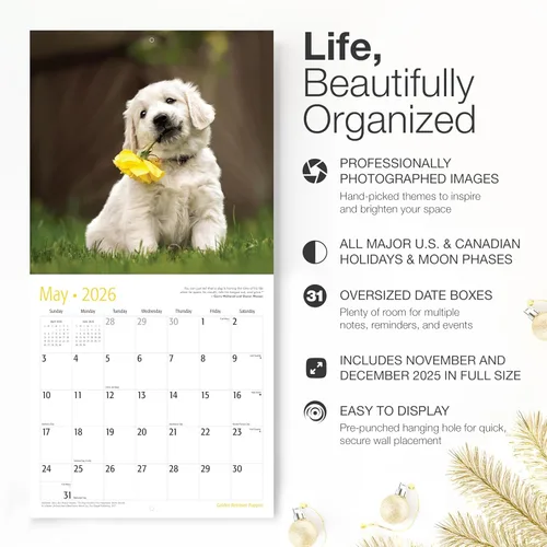 Miniatura 2 de RED EMBER Golden Retriever Puppies - Calendario de pared 2026 de 12 meses 12 x 24 pulgadas abierto Papel grueso y resistente Regalo
