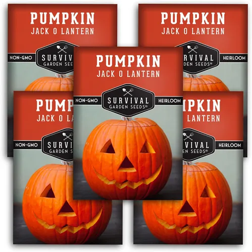 Miniatura 12 de Survival Garden Seeds - Semillas de calabaza Jack-O-Lantern para plantar - 3 paquetes con instrucciones para plantar y cultivar calabazas talladas
