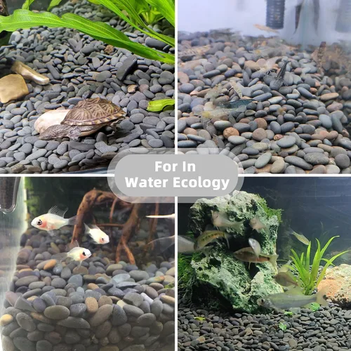 Miniatura 5 de Piedras de río de 2.4 libras para plantas y suculentas, paisajismo decorativo al aire libre y rocas de jardín de acuarios