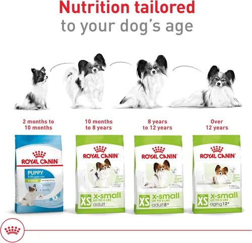 Miniatura 7 de ROYAL CANIN SIZE HEALTH NUTRITION X-SMALL comida seca para perros adultos