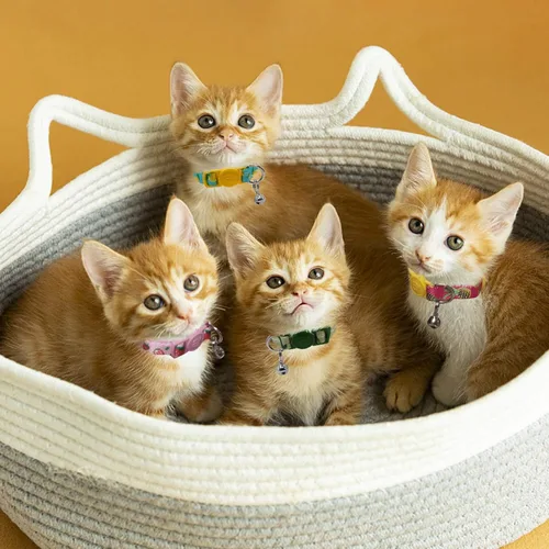 Miniatura 2 de azuza Paquete de 4 Collares para Gatos y Gatitos de Liberación Rápida con Campana, Hebilla Segura Ajustable 2#Fruta