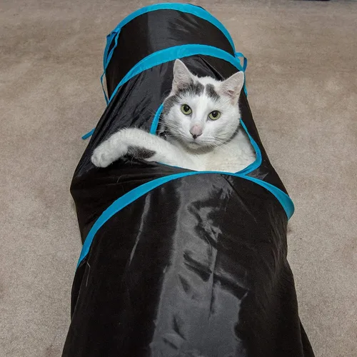 Miniatura 2 de PetLike Túnel para gatos de interior plegable para mascotas, tubo emergente para mascotas, escondite, juguetes de juego para gatos con pelota