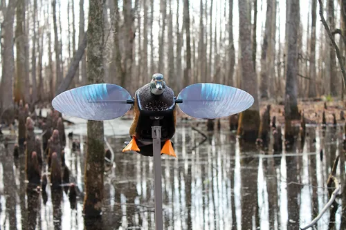 Miniatura 5 de MOJO Outdoors - Premium Waterfowl and Duck Hunting Decoys