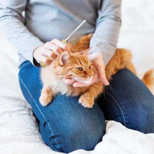 Miniatura 5 de Peine de aseo con mango de madera para perros, gatos y mascotas (doble cara)
