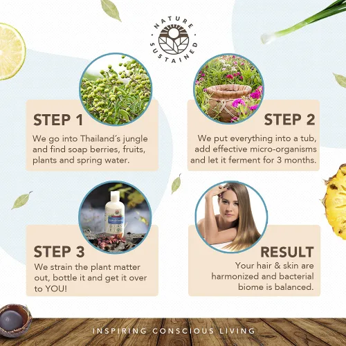 Miniatura 5 de Nature Sustained Acondicionador orgánico – Acondicionador natural hipoalergénico, sin químicos, sin sulfatos para cabello seco o dañado, fórmula