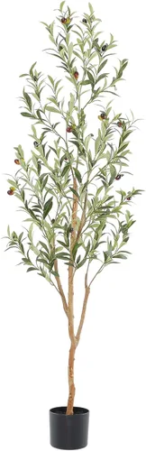Miniatura 10 de Bellacat Árbol de olivo sintético de 6 pies, olivos artificiales para interiores con tronco de madera natural y hojas y frutas realistas. Olivo
