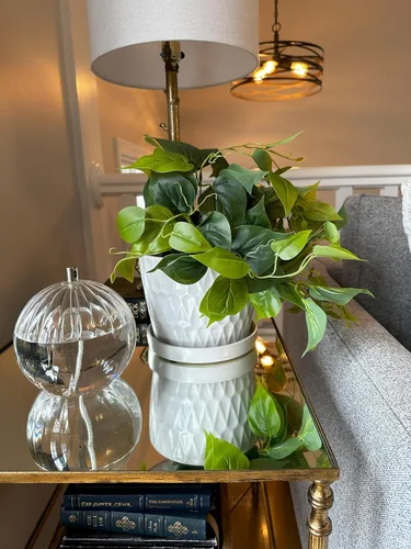 Miniatura 4 de Garden & Home - Maceta de cerámica para interiores de 8 pulgadas color blanco mate con un platillo adjunto y agujero de drenaje. Maceta perfecta