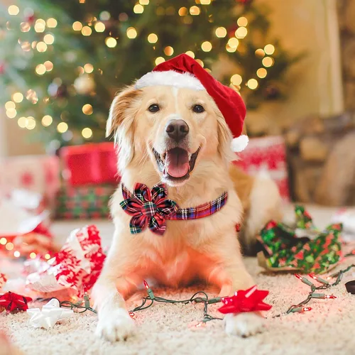 Miniatura 2 de Malier Collar de Navidad para perro con flor, clásico collar de perro a cuadros de búfalo con hebilla, collares de Navidad ajustables con pajarita