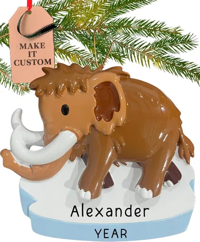 Miniatura 12 de Adorno de dinosaurio verde personalizado 2025 Personalización gratuita las 24 horas Adornos de Navidad para niños grabados con láser para árbol