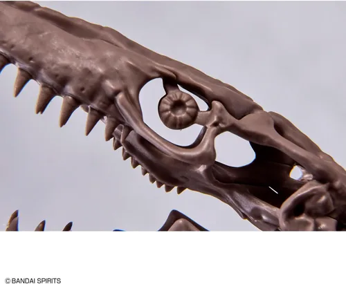 Miniatura 14 de Bandai Hobby Mosasaurus Imaginary Skeleton 1/32 Dinosaur Model Kit