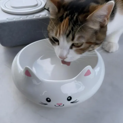 Miniatura 4 de Cuencos para gatos, tazón de comida para gatos, cuencos de cerámica lindos para gatitos para comida y agua 7.1oz, plato pequeño para alimentación